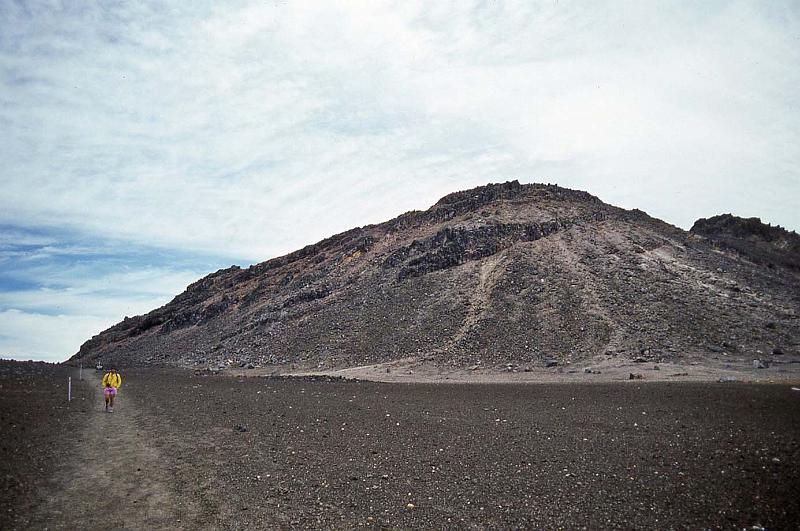 WT 0200 024-03 New Zealand.jpg